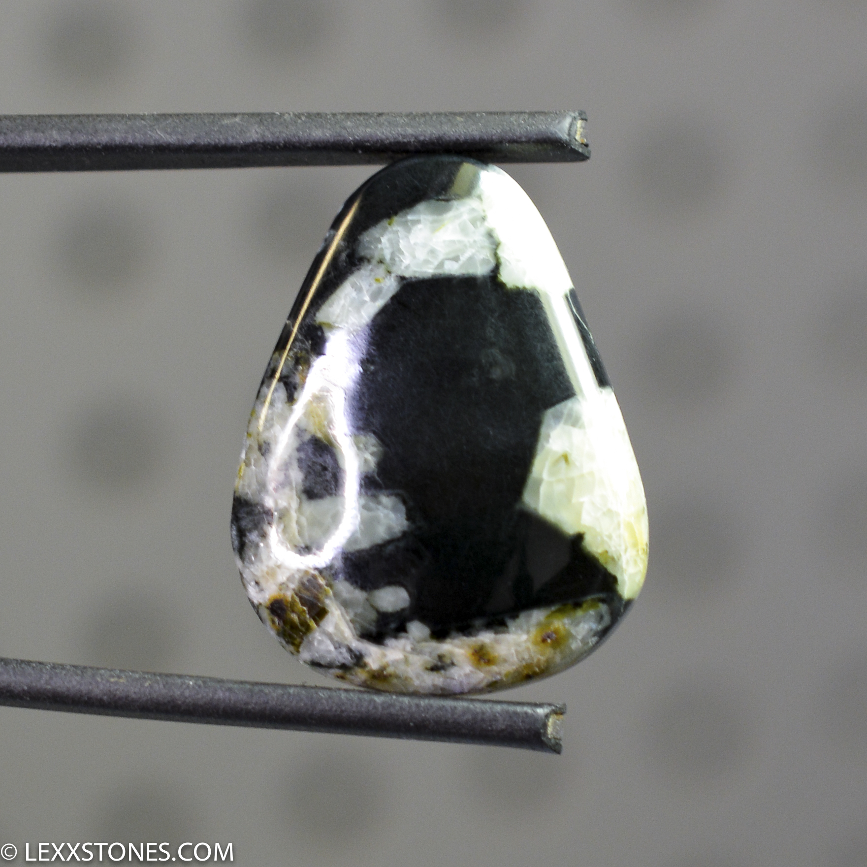 Edward's Black Wyoming Nephrite Jade Lexx Stones | Lexx Stones